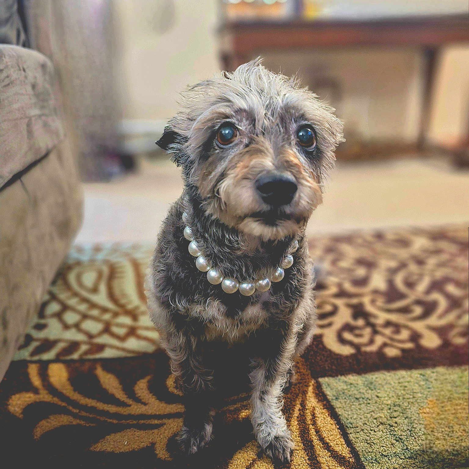 Molly