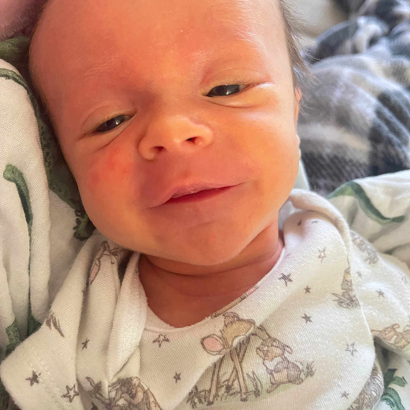 Easton joined the competition — help win amazing prizes! newborn, baby, infant, child, portrait, face, sleepy, eyes, smiling, clothing, onesie, blanket, swaddle, stars, animals, indoors, close_up, head, cozy, photography
