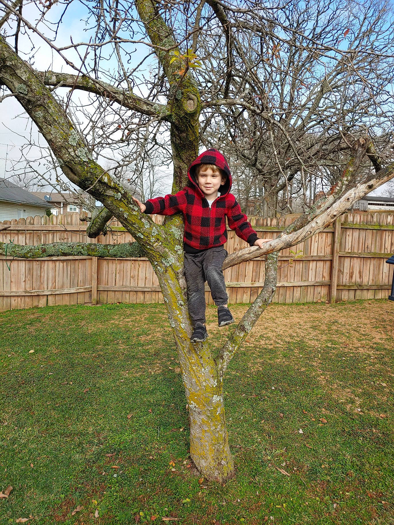 Blayne is registered to the contest to win money with this photo: fence, fun, grass, grassland, headwear, home_fencing, landscape, leisure, people_in_nature, person, plant, plant_stem, pole, recreation, shrub, sky, soil, tree, twig, winter