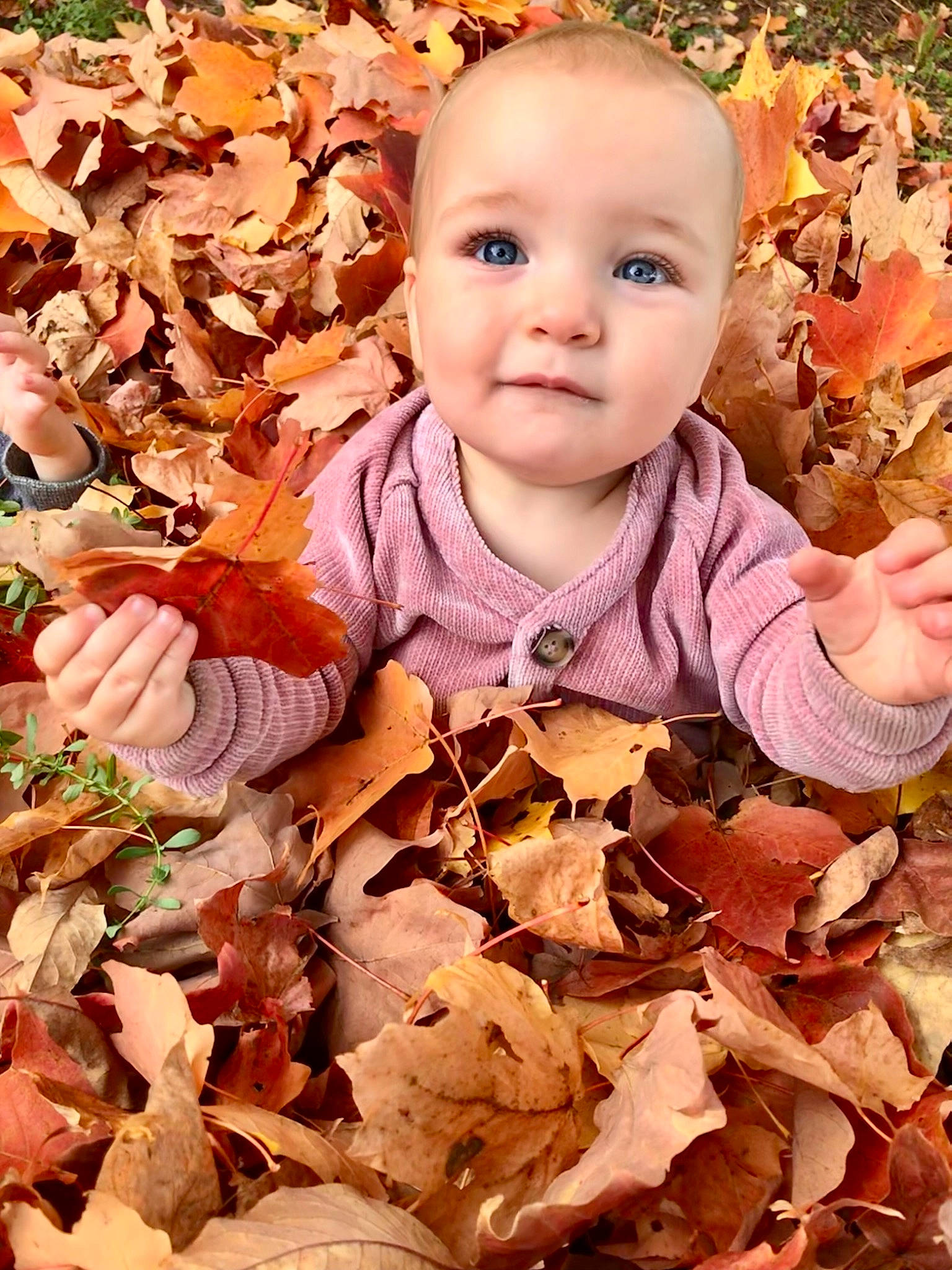 Lexie a rejoint le concours — aidez-le/la à gagner de superbes lots ! branch, cheek, dress, eye, facial_expression, finger, grass, happy, head, leaf, orange, organ, outerwear, people_in_nature, person, photograph, plant, skin, smile, vertebrate