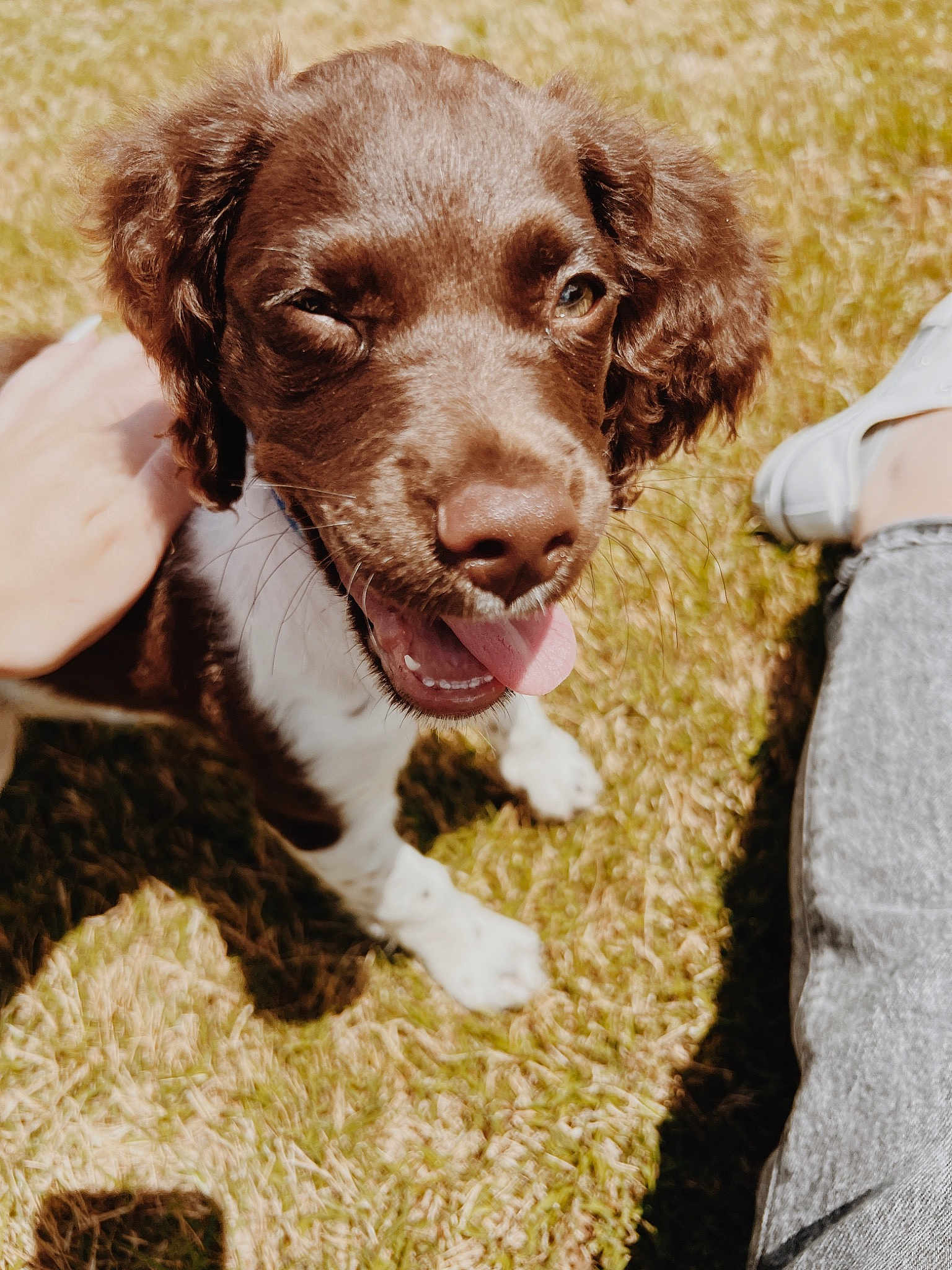 Rosco