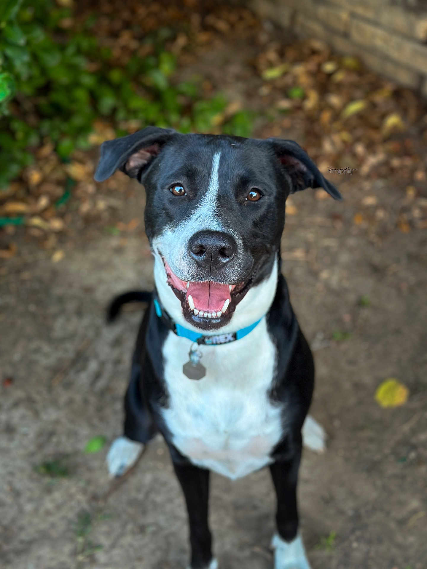 Zellie Mae
