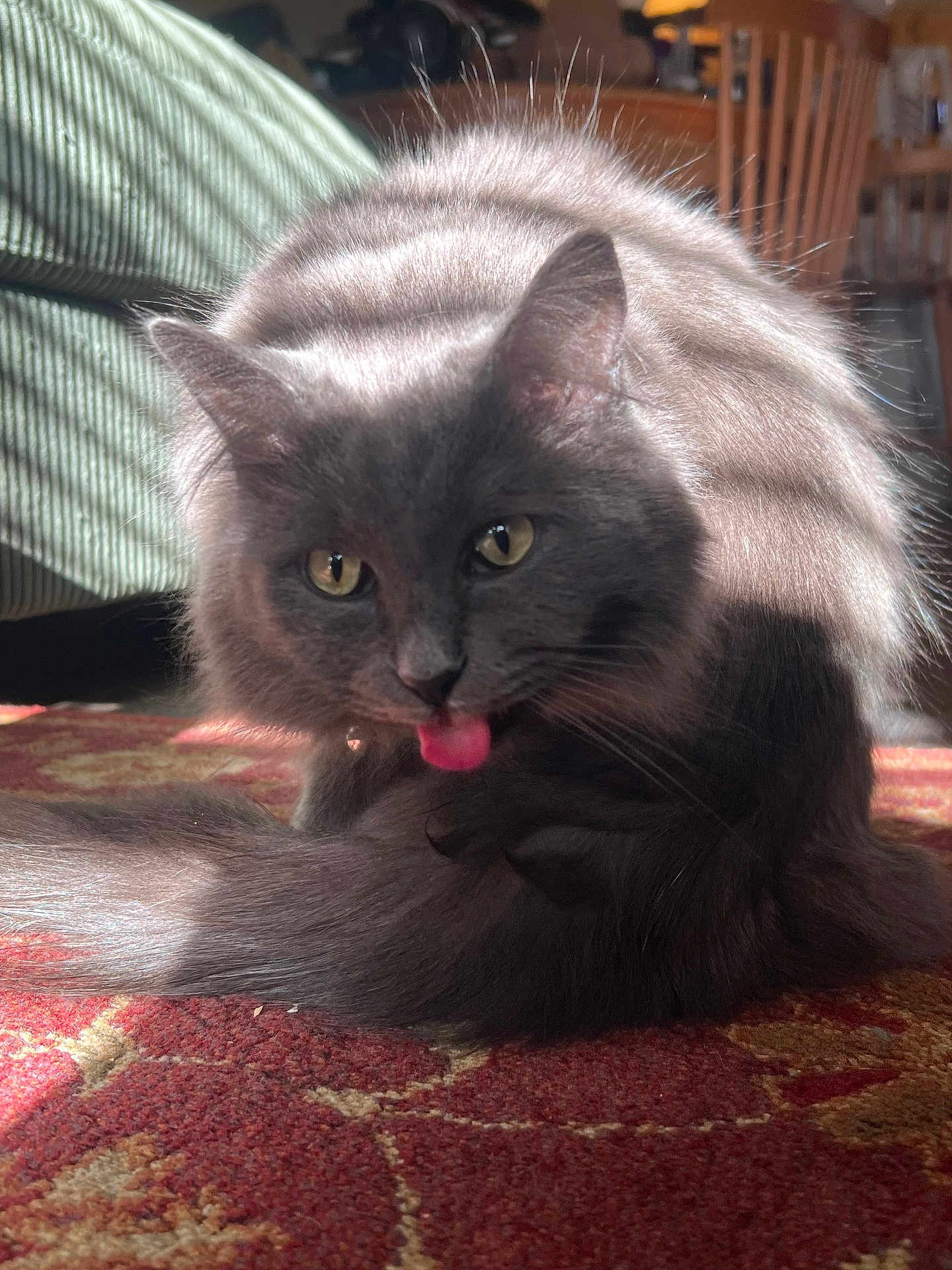 Binx