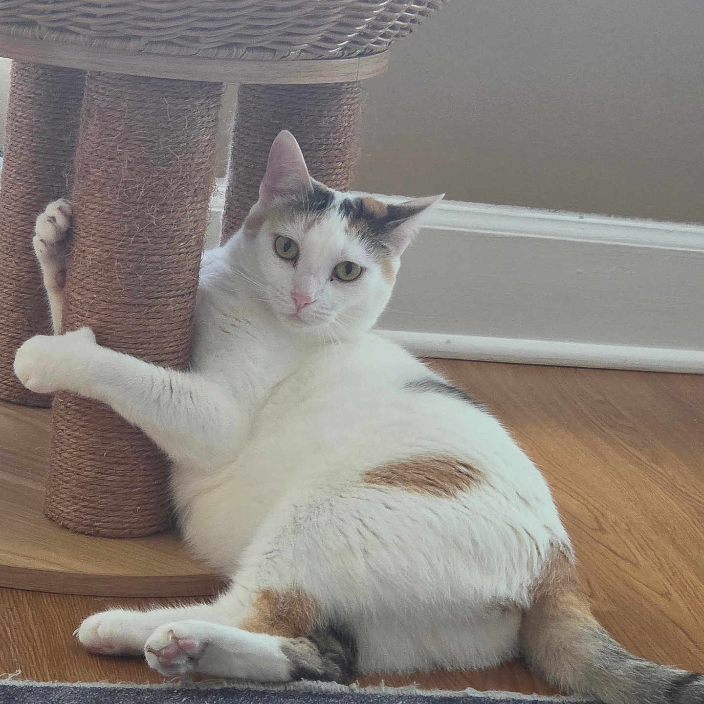Lani