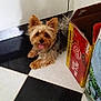 Ibis participe au concours pour gagner de l'argent avec cette photo :