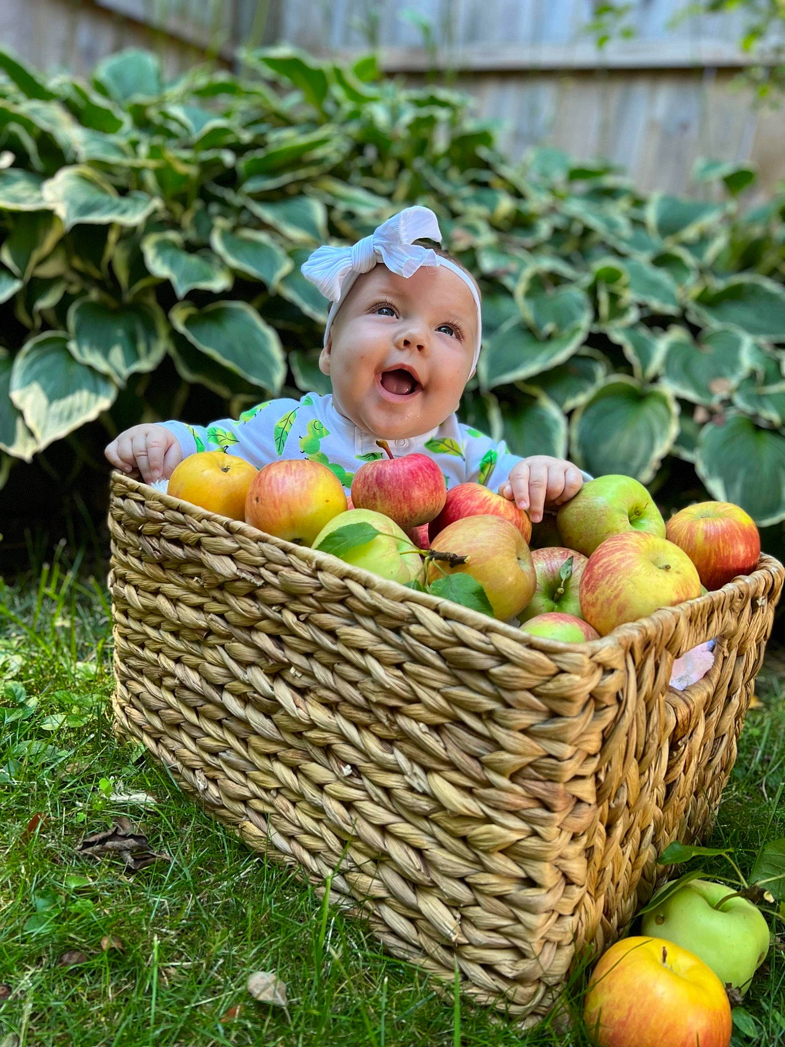 Mya is registered to the contest to win money with this photo: accessory_fruit, apple, basket, food, fruit, grass, happy, headwear, local_food, mcintosh, natural_foods, person, plant, produce, rose_family, staple_food, storage_basket, superfood, toddler, vehicle