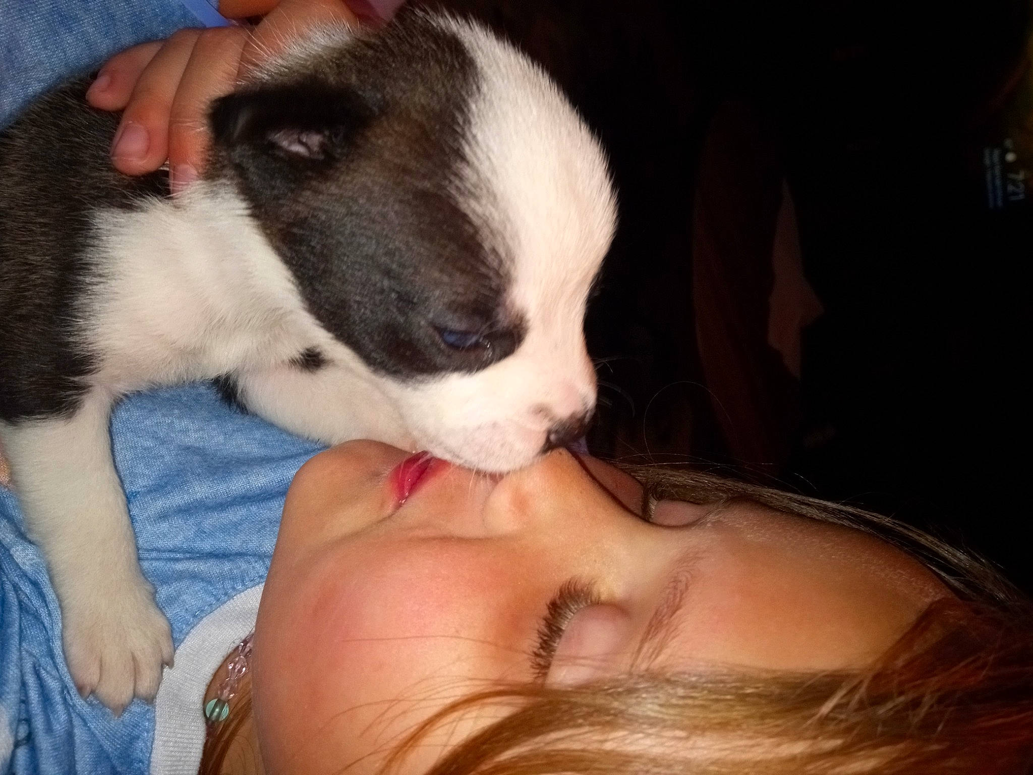 Alaina joined the competition — help win amazing prizes! canidae, carnivore, comfort, companion_dog, dog, dog_breed, ear, eyelash, fawn, flesh, fur, gesture, happy, human_leg, jaw, nail, person, snout, sporting_group, throat