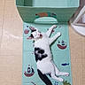 Panda Love participe au concours pour gagner de l'argent avec cette photo : cat, kitten, black_and_white, pet, animal, lying_down, stretching, yawning, open_mouth, pink_nose, pink_ears, whiskers, tail, indoor, play_mat, nautical, turquoise, floor, sailboats, fish