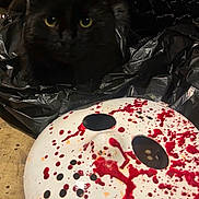 Jason is registered to the contest to win money with this photo: animal, black_background, black_cat, blood_splatter, cat, close_up, creepy, dark, face_mask, floor, halloween_theme, hockey_mask, indoor, mask, mystery, pet, plastic_bag, shadow, spooky, yellow_eyes