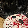 animal, black_background, black_cat, blood_splatter, cat, close_up, creepy, dark, face_mask, floor, halloween_theme, hockey_mask, indoor, mask, mystery, pet, plastic_bag, shadow, spooky, yellow_eyes