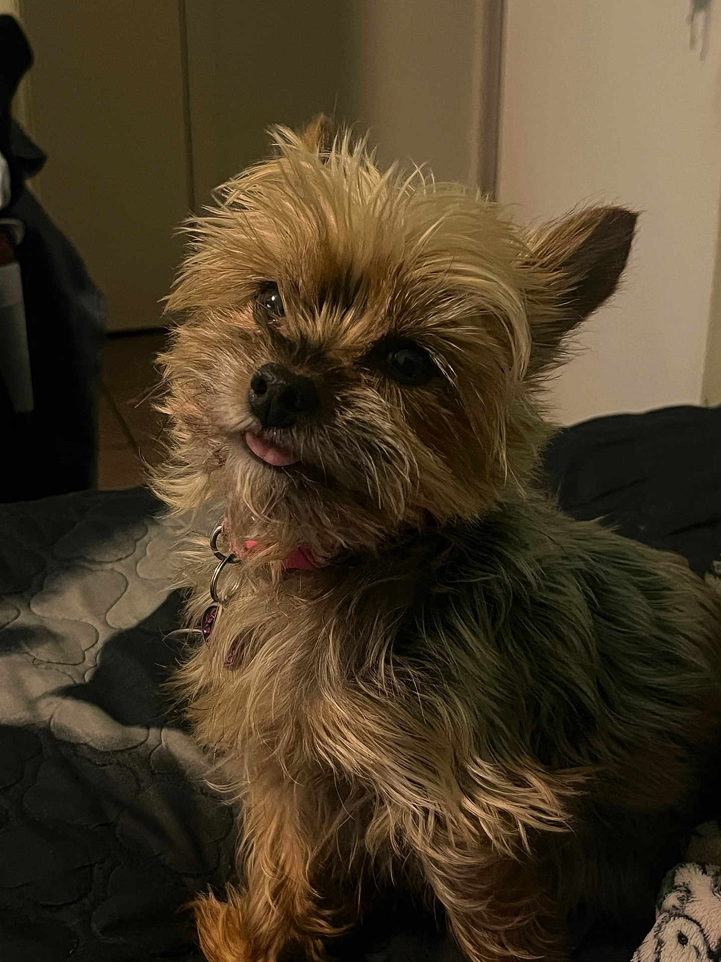 Coco