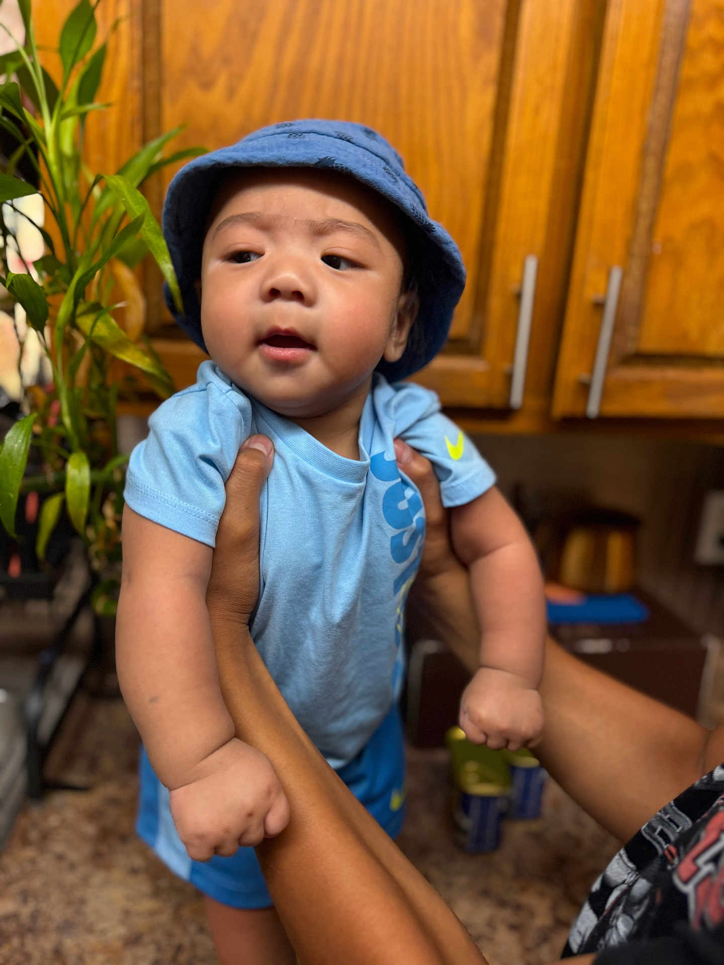 Koa Latu Lometo is registered to the contest to win money with this photo: baby, infant, child, blue_hat, blue_shirt, blue_shorts, hands, arms, kitchen, wooden_cabinets, plant, countertop, curious_expression, person_holding, indoor, portrait, baby_clothing, toddler, cute, home