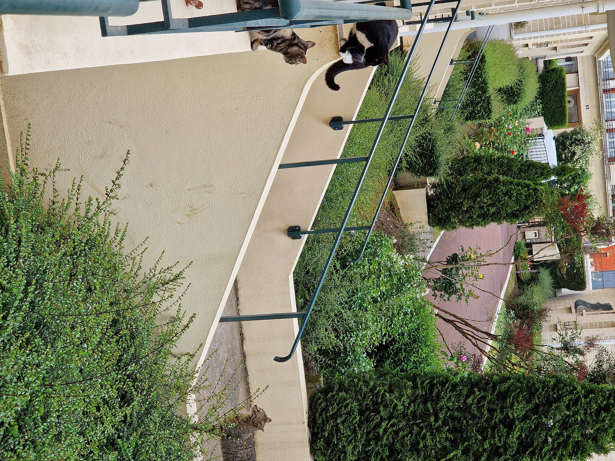 Pebble a rejoint le concours — aidez-le/la à gagner de superbes lots ! asphalt, building, condominium, electricity, facade, grass, green, groundcover, house, landscape, plant, road, road_surface, shrub, sidewalk, slope, street_light, tree, urban_design, vegetation