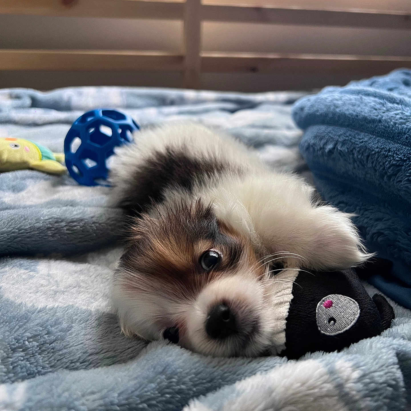 Milo