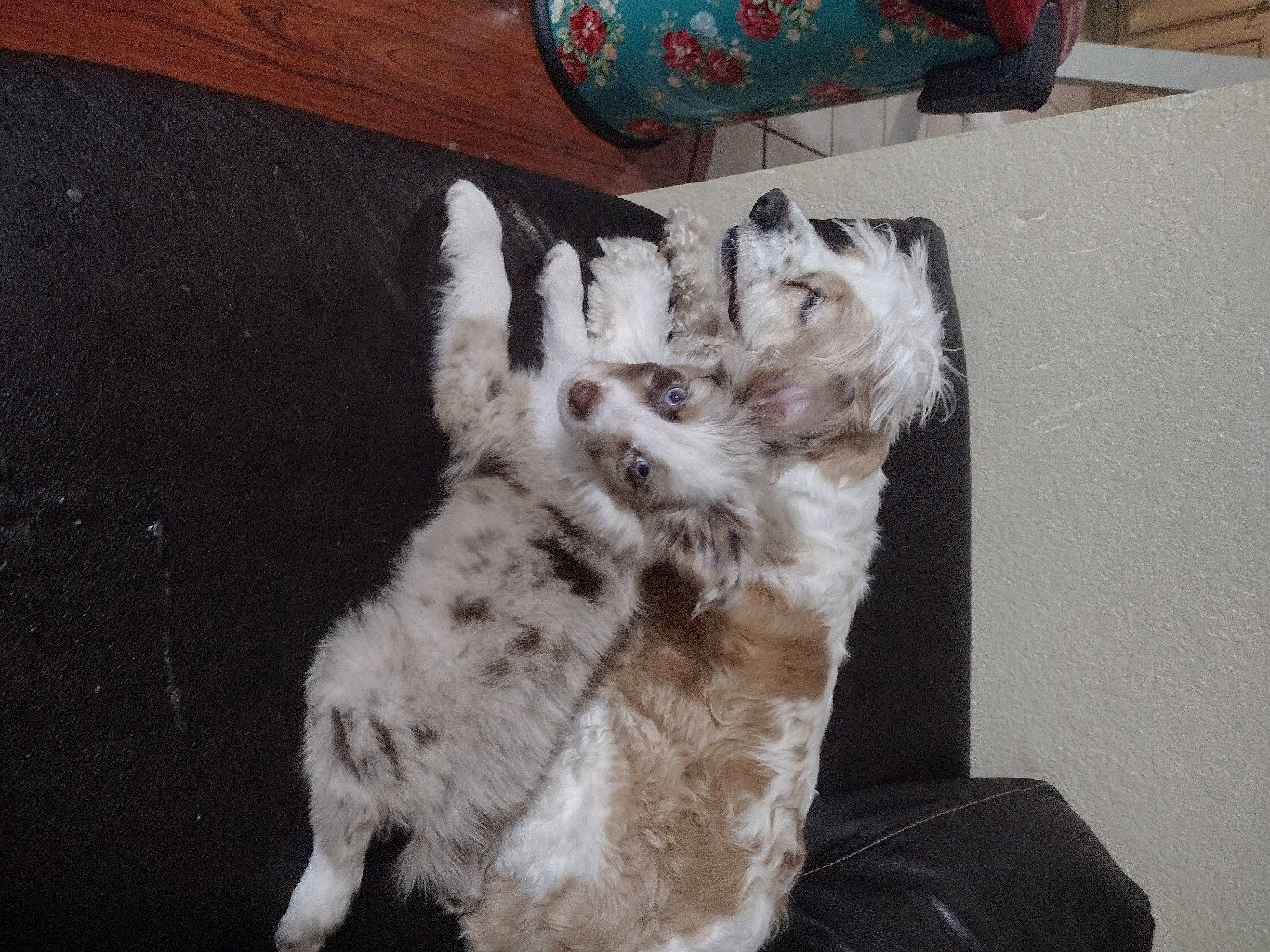 Bell Bell And Kingsley