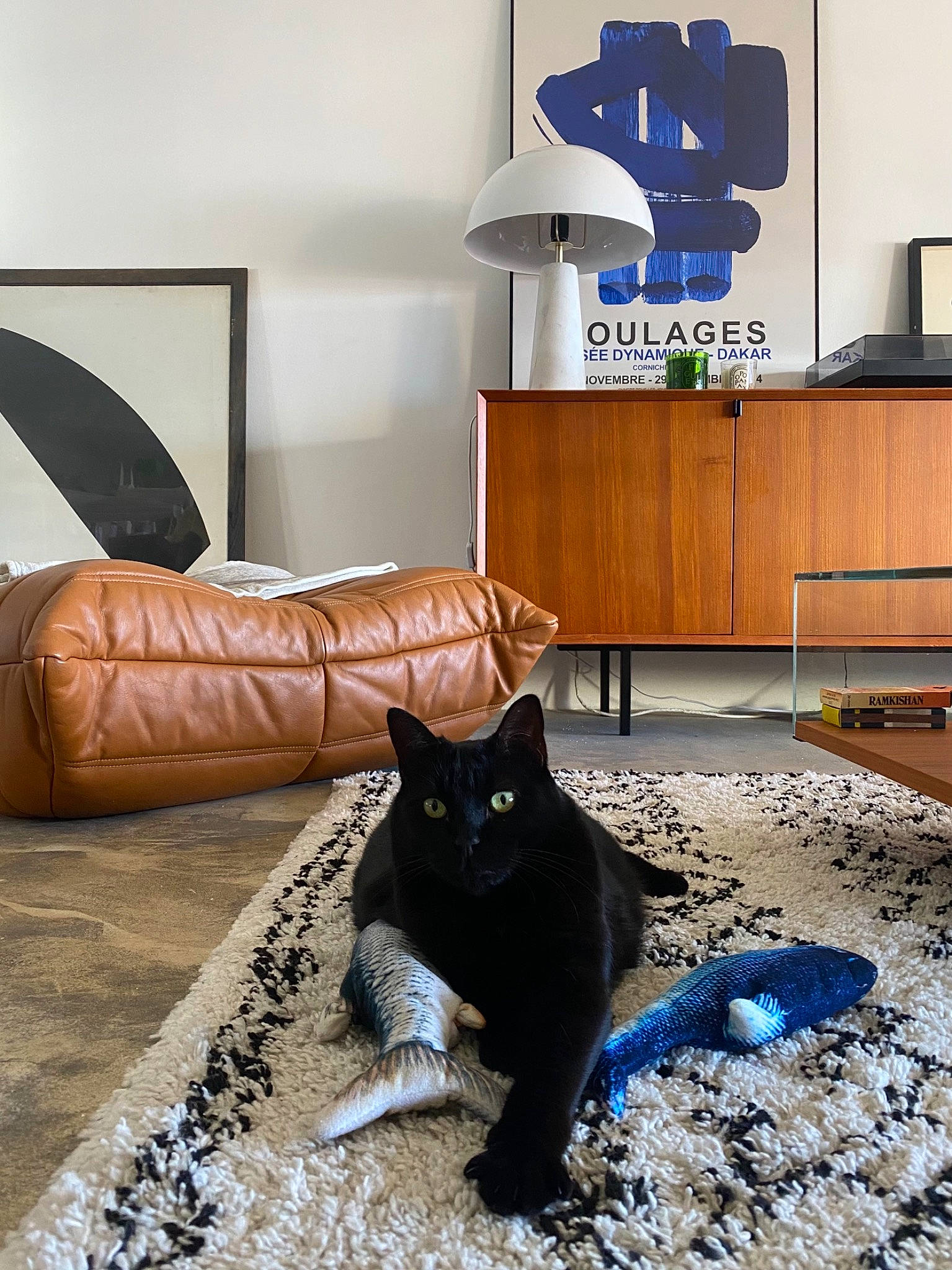 Jackie a rejoint le concours — aidez-le/la à gagner de superbes lots ! blue, bombay, cabinetry, carnivore, cat, comfort, felidae, floor, flooring, furniture, grey, hardwood, living_room, picture_frame, plant, purple, small_to_medium_sized_cats, table, whiskers, wood
