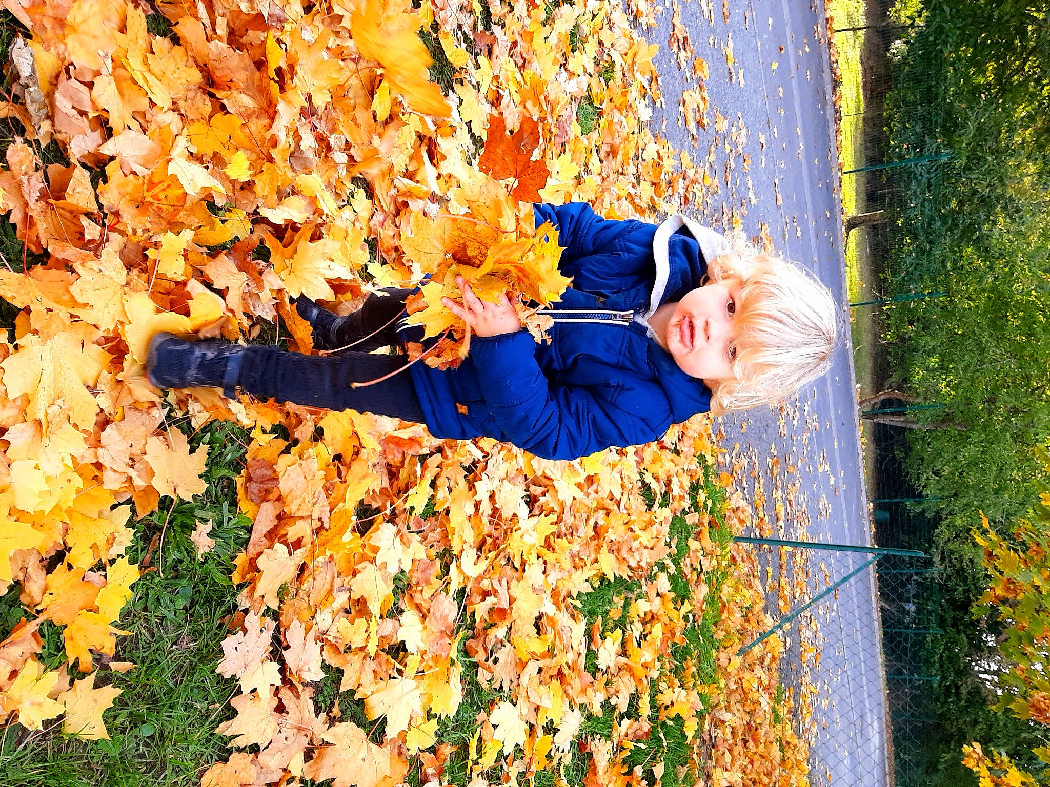 Mïke participe au concours pour gagner de l'argent avec cette photo : autumn, deciduous, grass, happy, leaf, people_in_nature, person, plant, smile, spring, tree, woody_plant, yellow