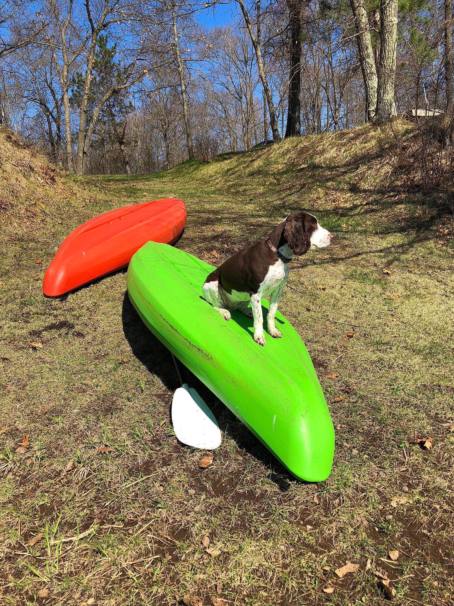 Morgan joined the competition — help win amazing prizes! boats_and_boating_equipment_and_supplies, chute, forest, fun, grass, inflatable, landscape, leisure, outdoor_play_equipment, people_in_nature, plant, recreation, shrub, sky, soil, tree, trunk, vehicle, watercraft, wood