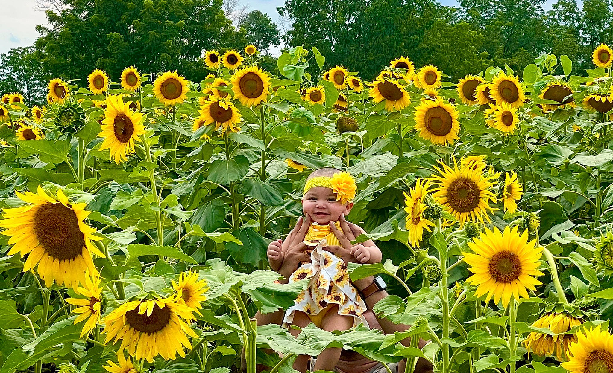 Inaya is registered to the contest to win money with this photo: agriculture, annual_plant, botany, cuisine, field, flower, flowering_plant, green, groundcover, headwear, joy, leaf, natural_environment, people_in_nature, person, petal, plant, plantation, summer, sunflower