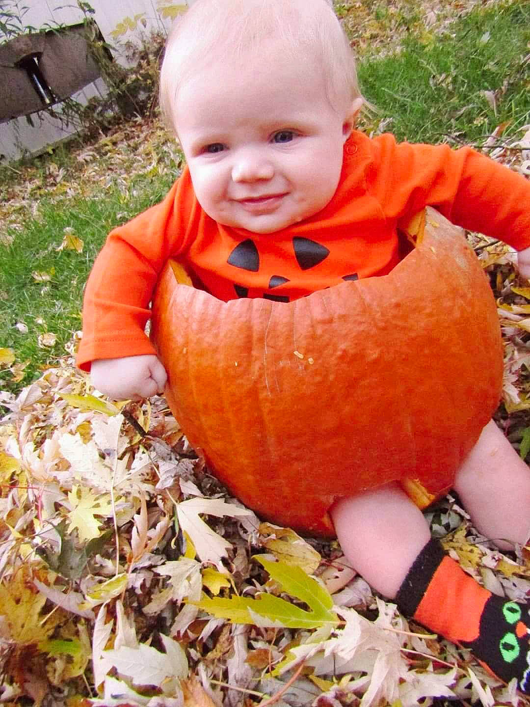 Jaxson is registered to the contest to win money with this photo: calabaza, child, cucurbita, gourd, jack_o_lantern, joy, leaf, orange, person, plant, pumpkin, toddler, vegetable, winter_squash