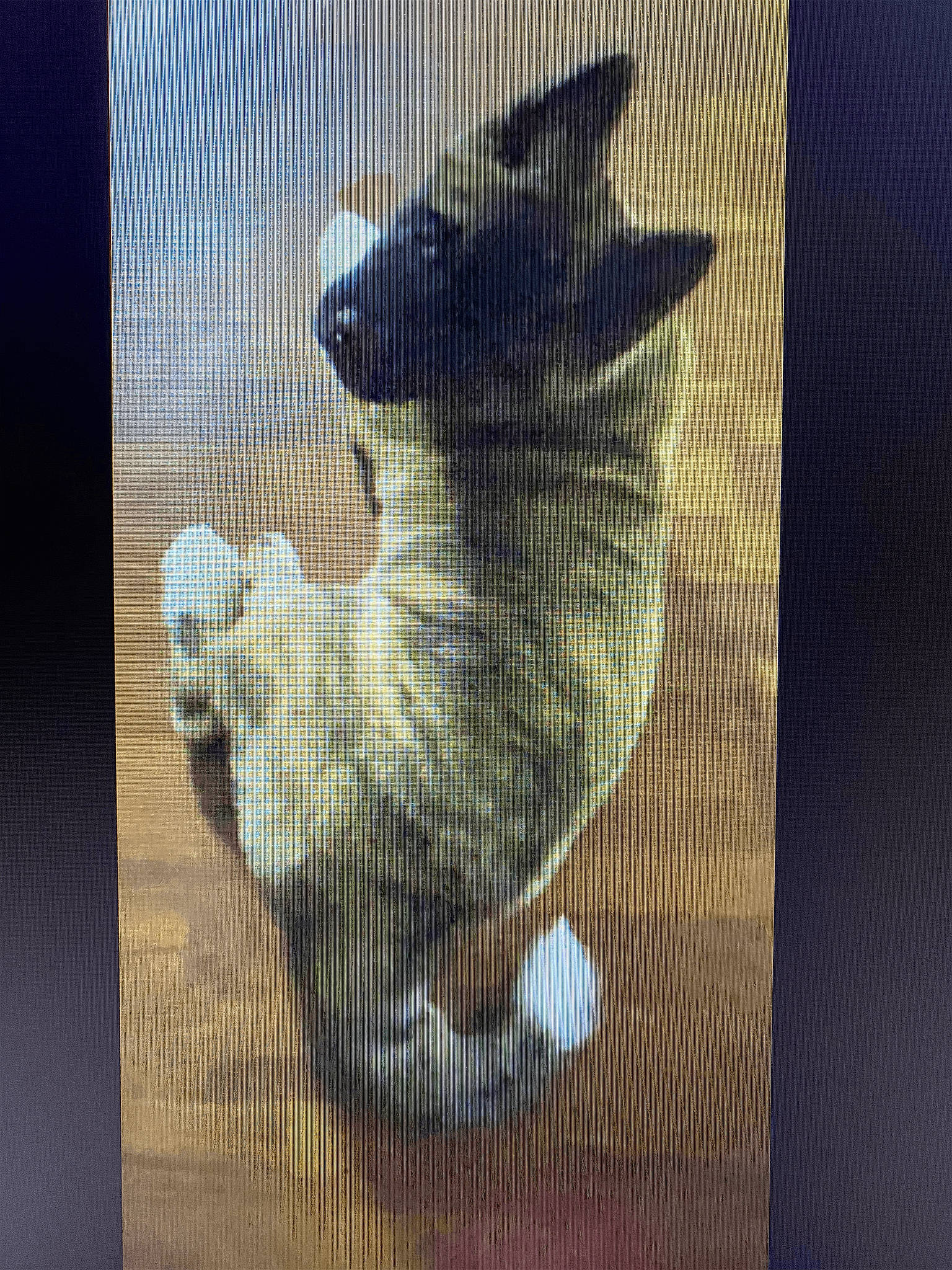 Kato Bone is registered to the contest to win money with this photo: art, black_cat, canidae, carnivore, cat, dog_breed, domestic_short_haired_cat, fawn, felidae, fur, painting, paw, picture_frame, small_to_medium_sized_cats, snout, tail, visual_arts, whiskers, window, wood