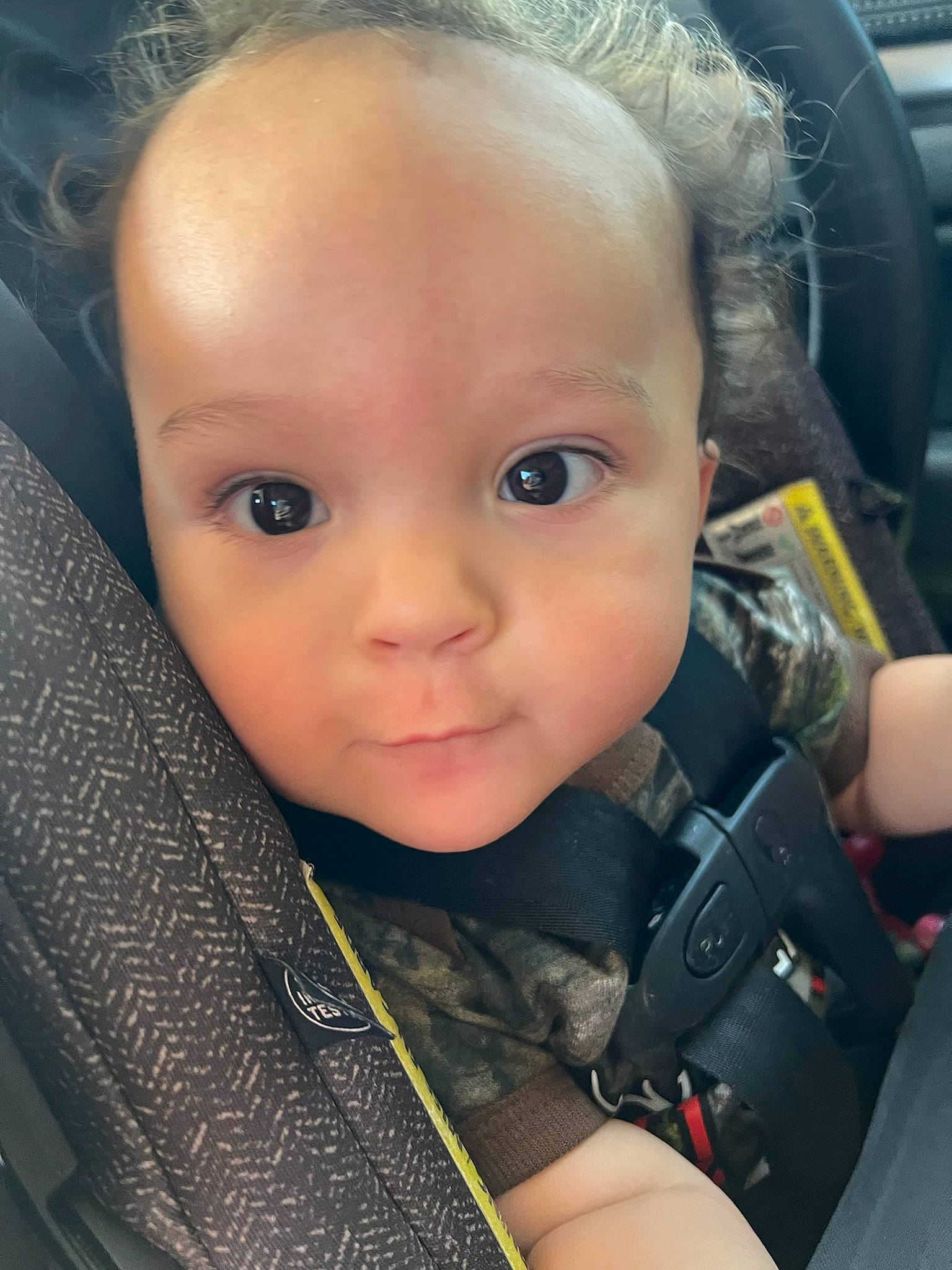 Ayden. Colon joined the competition — help win amazing prizes! auto_part, baby, baby_products, car_seat, cheek, child, cool, ear, eyebrow, eyelash, forehead, head_restraint, iris, mouth, nose, organ, person, seat_belt, skin, toddler