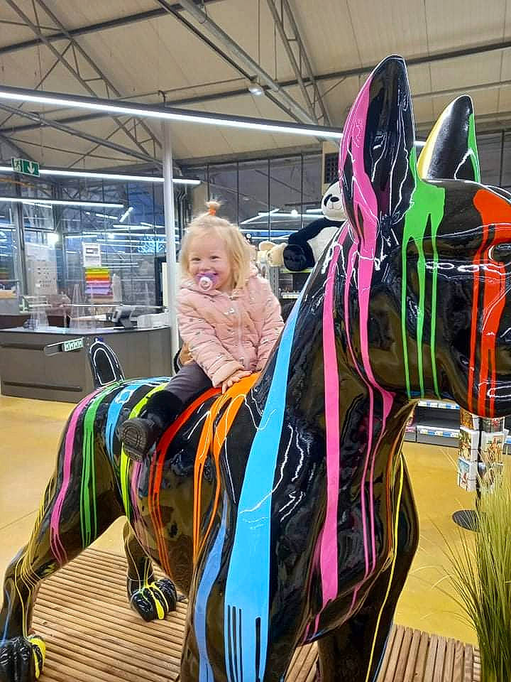 Ness participe au concours pour gagner de l'argent avec cette photo : art, automotive_design, automotive_wheel_system, bag, bridle, costume, event, fictional_character, fun, horse_supplies, horse_tack, joy, landscape, leisure, luggage_and_bags, magenta, motor_vehicle, person, personal_protective_equipment, recreation