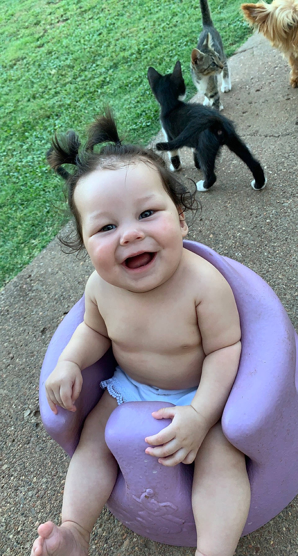 Allayna joined the competition — help win amazing prizes! baby, blue, chest, fawn, finger, fun, gesture, grass, green, hand, happy, joy, leisure, mammal, person, photograph, recreation, smile, snapshot, thumb