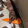 Hunter is registered to the contest to win money with this photo: dog, chocolate_lab, plush_toy, carrot, floor_tile, indoor, resting, pet, animal, brown_fur, sleeping, paw, toy, shadow, sneaker, leg, cabinet, cozy, relaxed, home