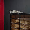 Luna Beans joined the competition — help win amazing prizes! cat, gray_cat, furniture, cabinet, wooden_cabinet, empty_cabinet, glass_panels, indoor, black_wall, red_wall, corner, floor, pet, animal, relaxed, lying_down, curious, household, room, resting