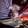 Reeko is registered to the contest to win money with this photo: adult, affenpinscher, airedale, animal, blanket, canine, cockerspaniel, couch, dog, furniture, homedecor, hound, linen, male, man, person, pet, poodle, puppy, terrier