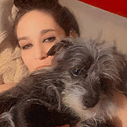 Reeko is registered to the contest to win money with this photo: adult, affenpinscher, animal, bodypart, canine, couch, dog, face, female, finger, furniture, head, person, pet, photography, poodle, portrait, puppy, terrier, woman