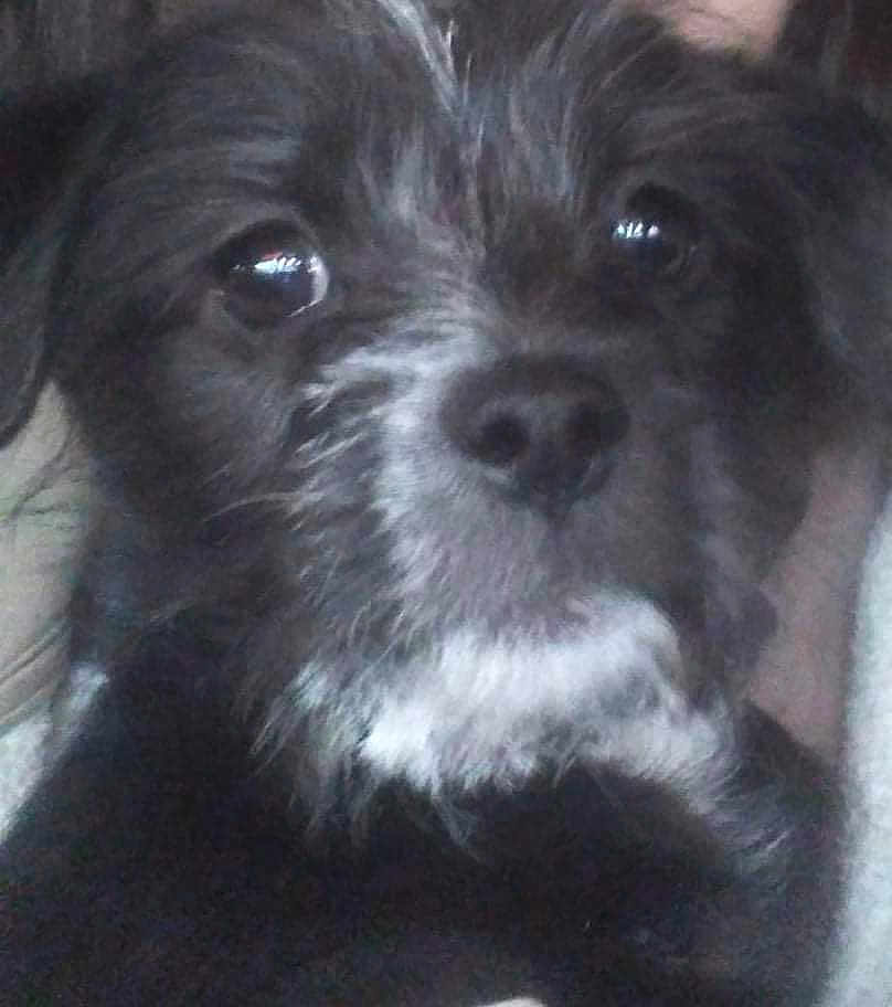 Reeko