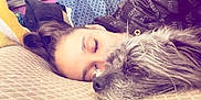Reeko is registered to the contest to win money with this photo: animal, bed, bedroom, canine, couch, cushion, dog, face, furniture, head, homedecor, indoors, person, pet, photography, portrait, puppy, room, sleeping, terrier