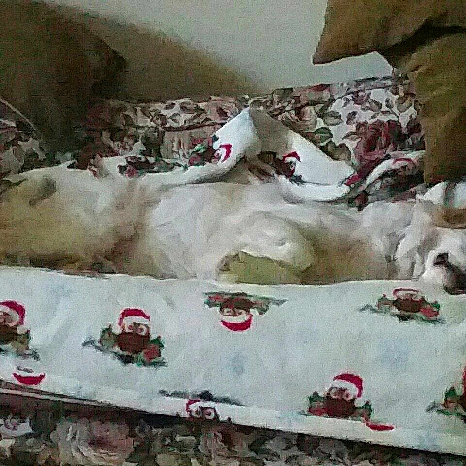 Jethro