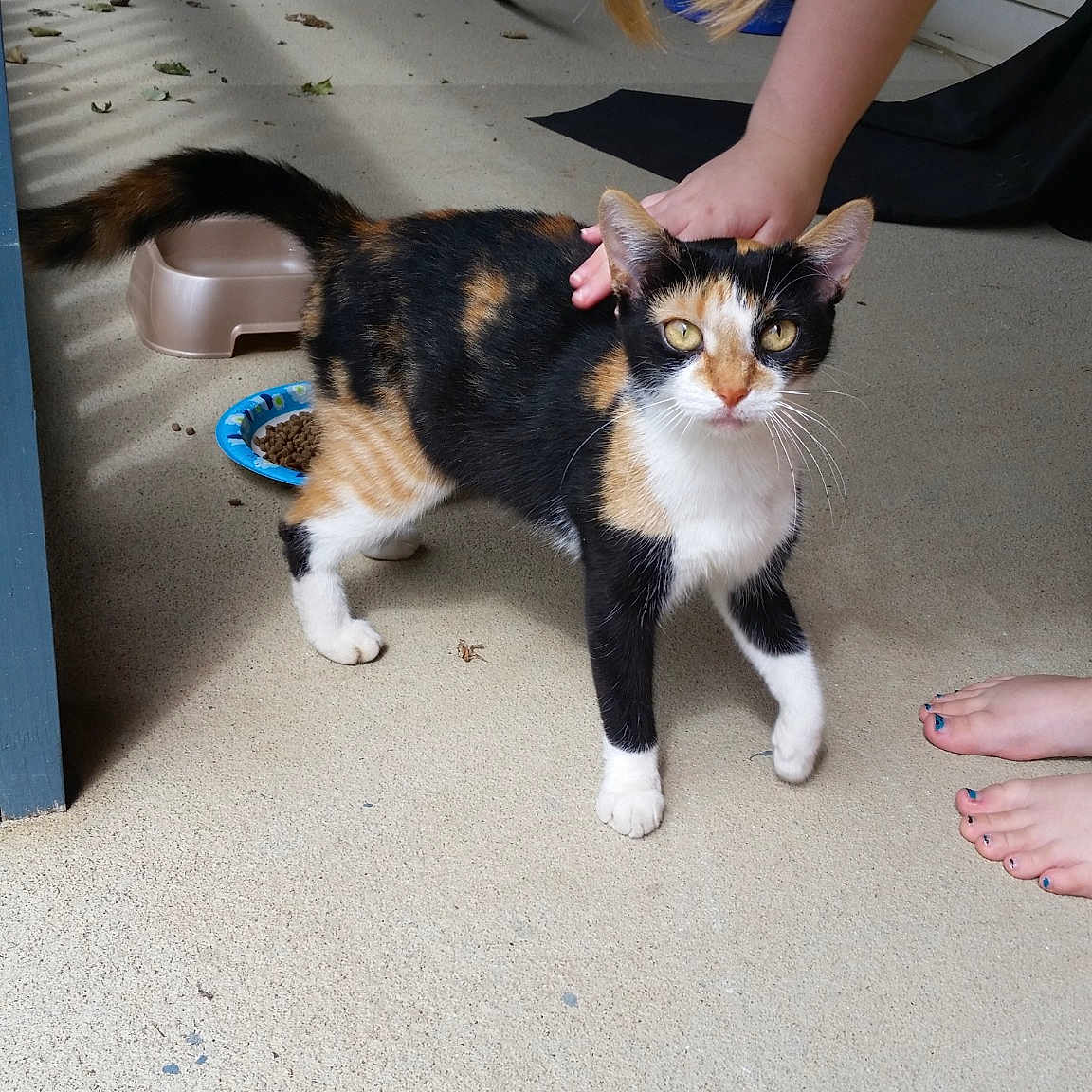 Stella La La La La La