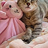 cat, kitten, tabby, sleeping, cute, plush_toy, bunny, pink, blanket, bed, cuddling, indoors, portrait, close_up, fur, whiskers, ears, paws, relaxed, cozy