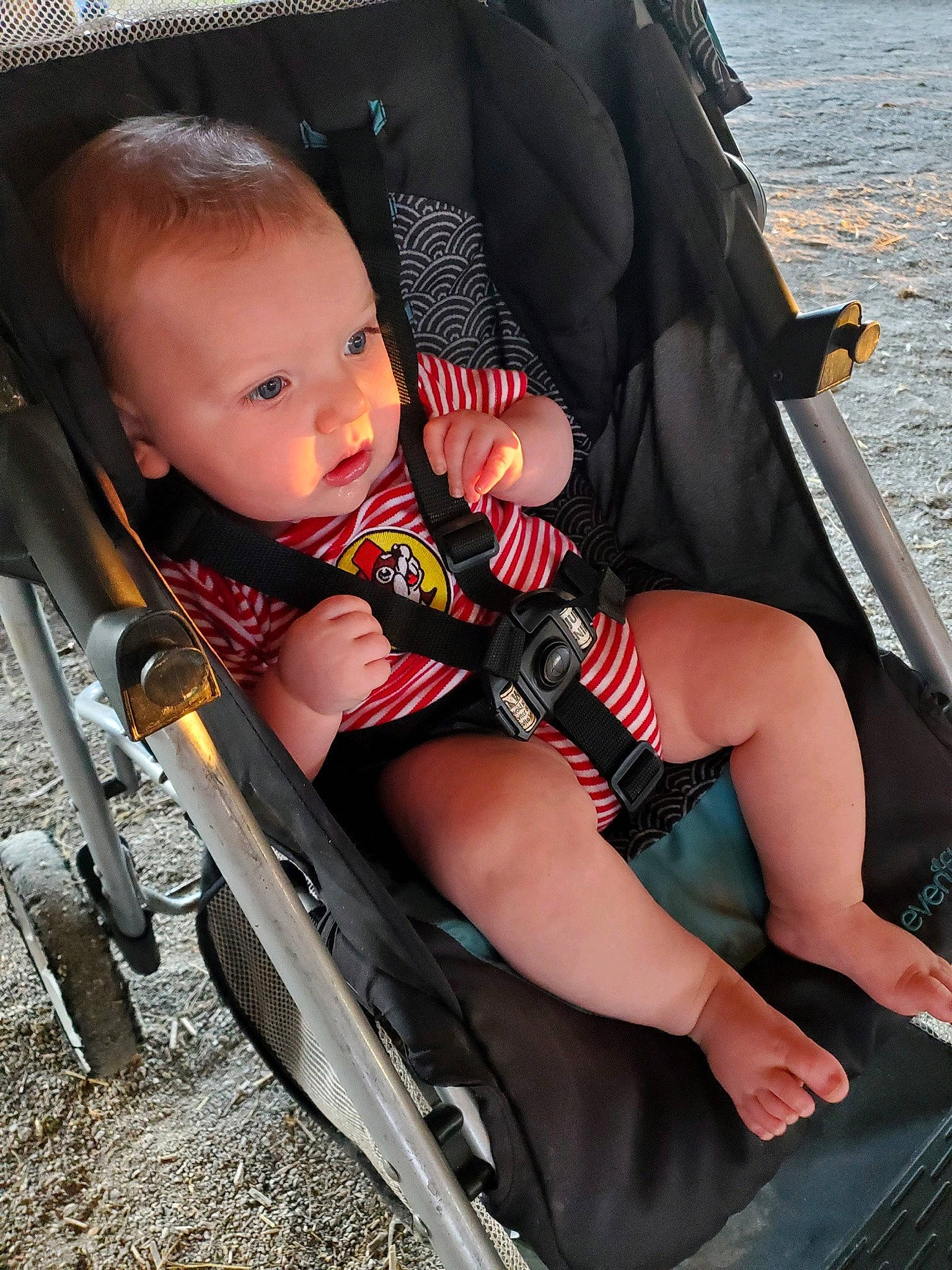 Calvin joined the competition — help win amazing prizes! auto_part, automotive_design, automotive_exterior, automotive_tire, baby, baby_carriage, baby_toddler_clothing, bag, boats_and_boating_equipment_and_supplies, comfort, human_body, human_leg, lap, leg, luggage_and_bags, motor_vehicle, person, sitting, thigh, toddler