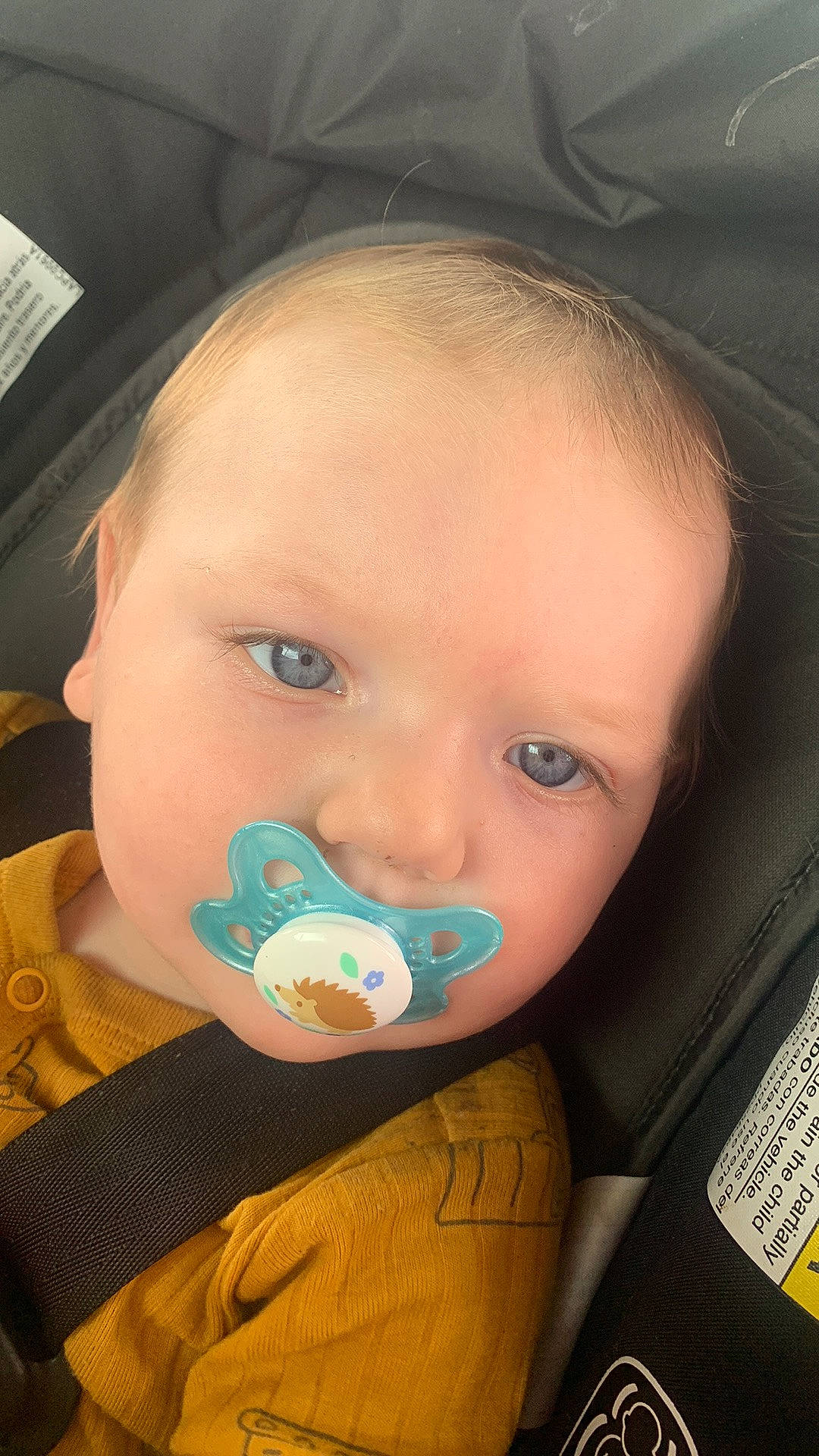 Calvin joined the competition — help win amazing prizes! baby, baby_toddler_clothing, cheek, chin, ear, eye, eyebrow, eyelash, facial_expression, forehead, hair, hairstyle, head, iris, lip, mouth, neck, nose, organ, person