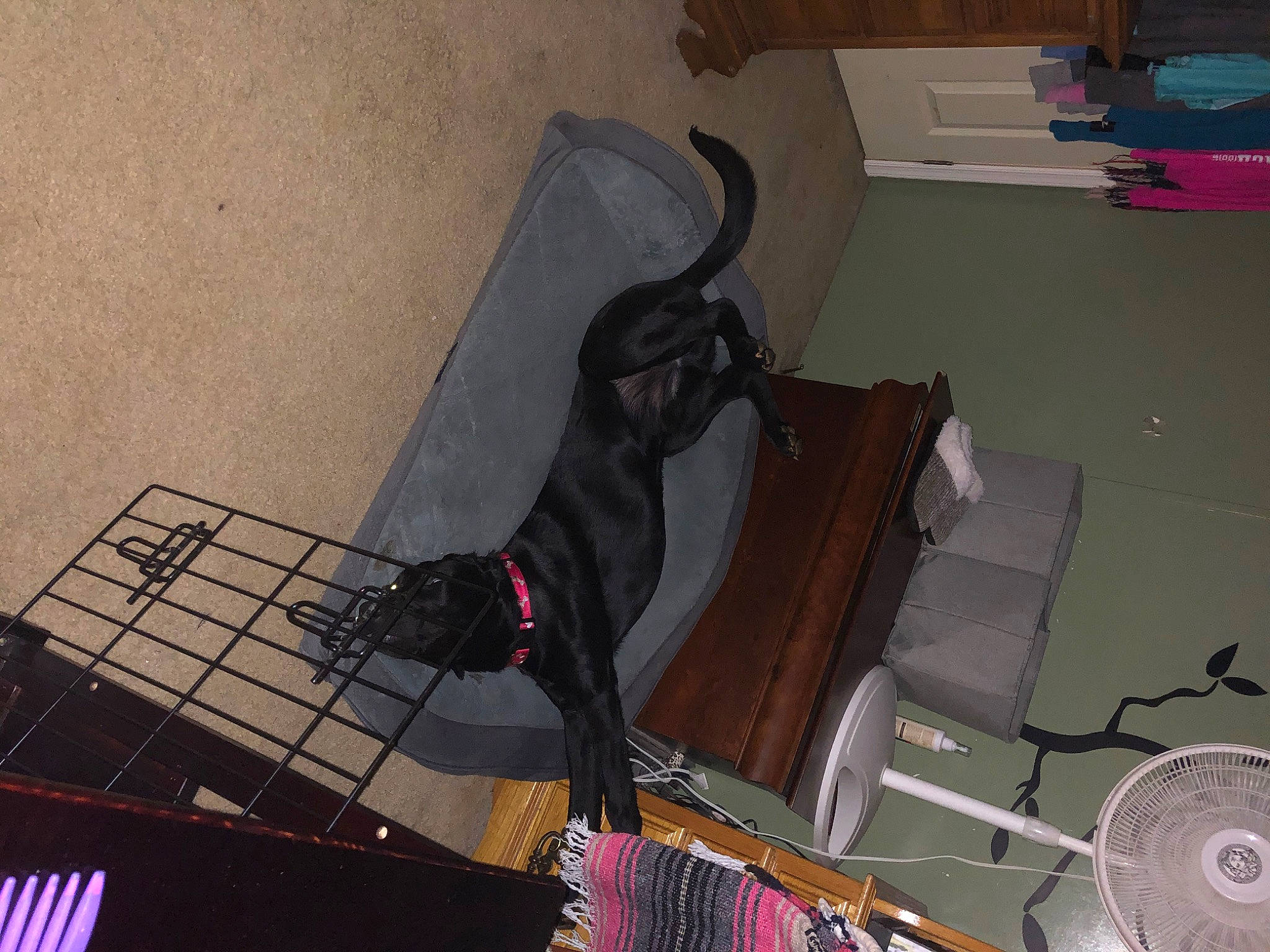 Remington joined the competition — help win amazing prizes!