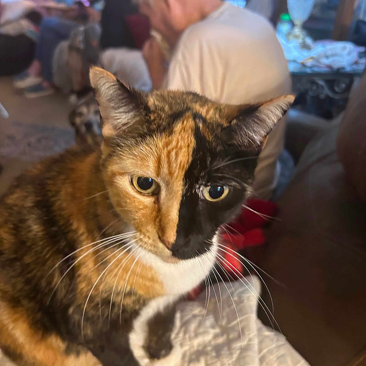 Two Face