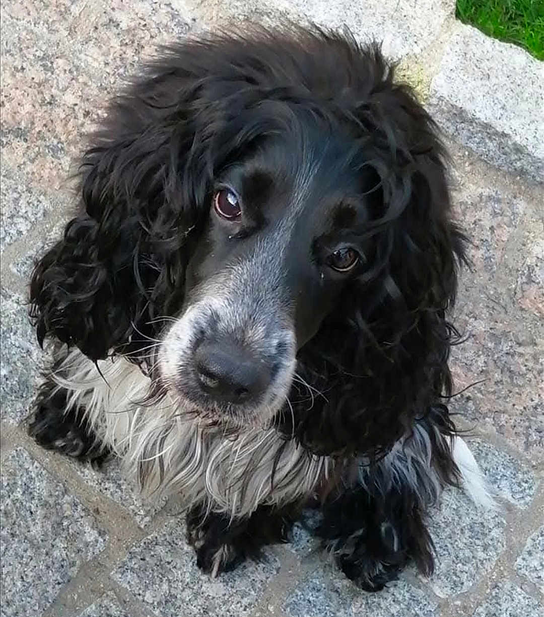 Bella