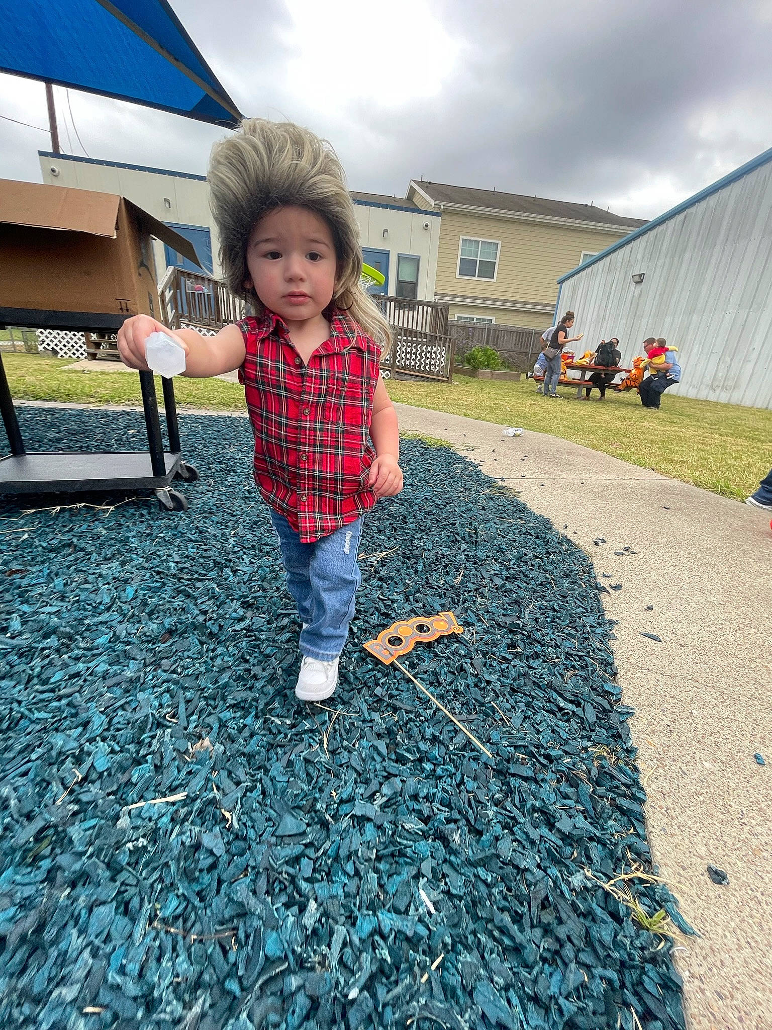 Jaivyn is registered to the contest to win money with this photo: asphalt, blue, child, city, cloud, electric_blue, flooring, fun, grass, landscape, leaf, leisure, person, plaid, plant, recreation, road_surface, sidewalk, sky, toddler