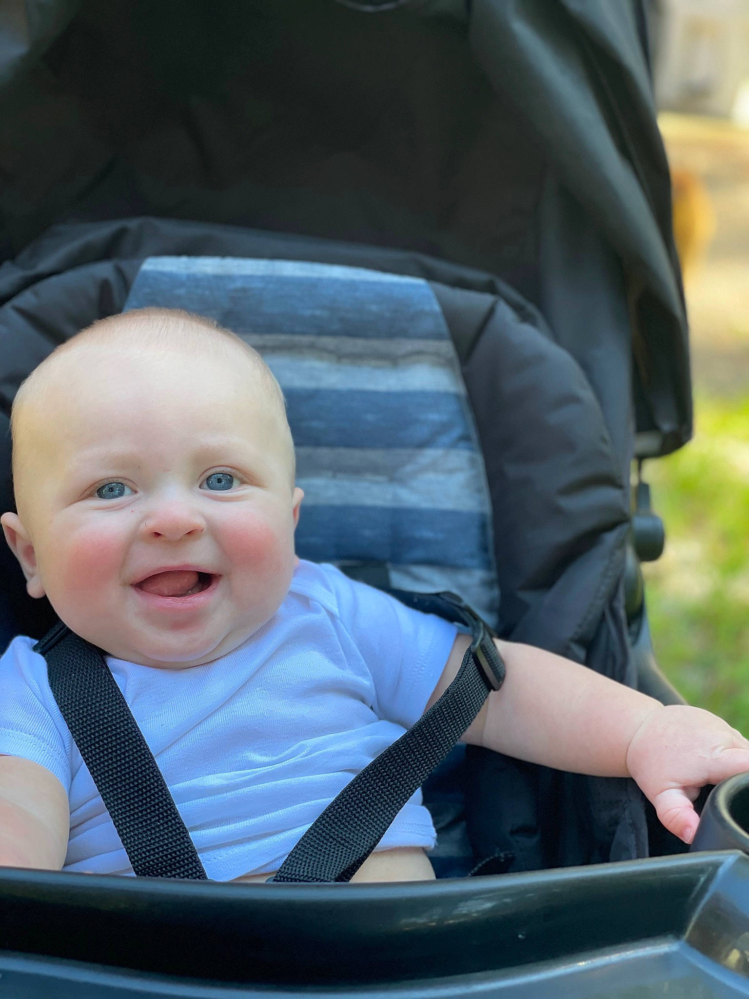 Ezra is registered to the contest to win money with this photo: arm, baby, baby_carriage, baby_toddler_clothing, black, comfort, eye, face, finger, grass, hand, happy, head, people, person, photograph, product, sitting, smile, snapshot