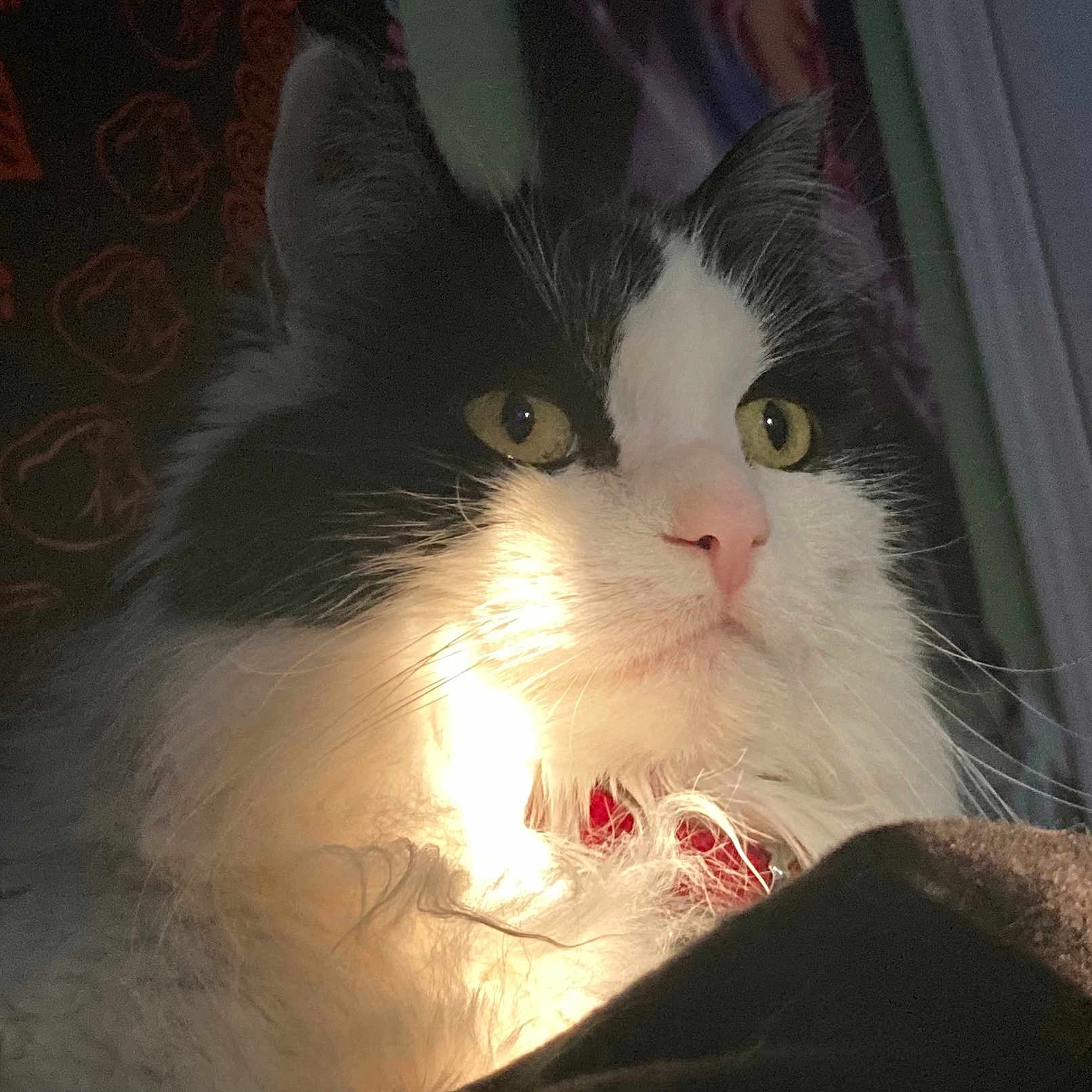 Greta