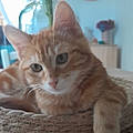 Gladys L.