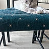 Shana participe au concours pour gagner de l'argent avec cette photo : cat, feline, fluffy, white_fur, blue_eyes, pet, animal, lying_down, relaxed, front_paws, portrait, close_up, indoor, chair, teal_fabric, metal_frame, furniture, wood_floor, long_whiskers, cute