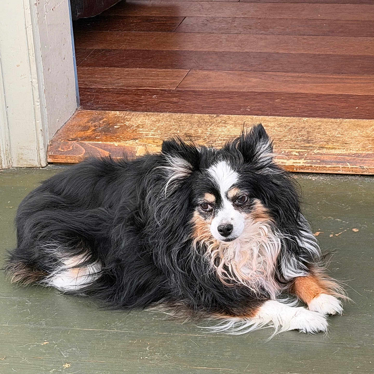 Heidi Queen