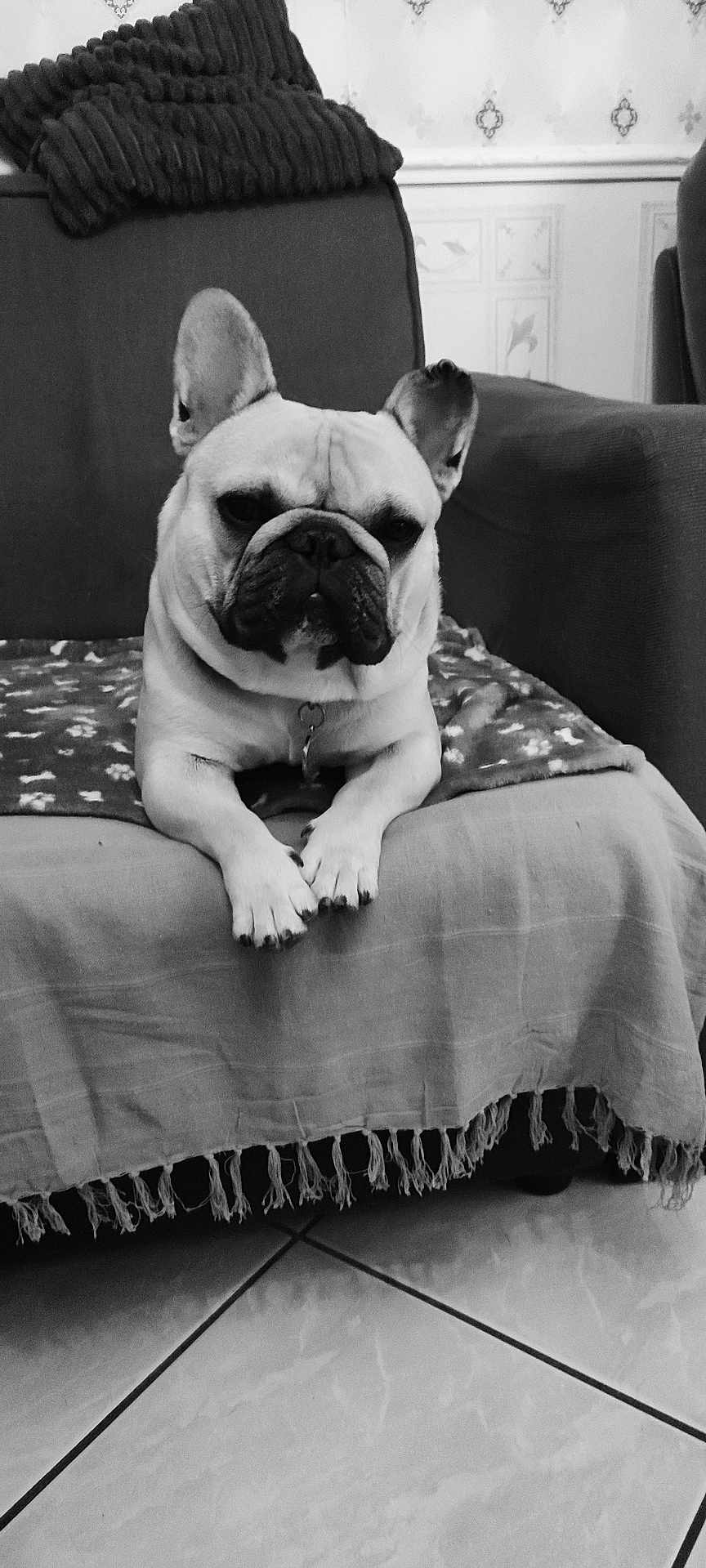 Georges