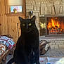 Bambo joined the competition — help win amazing prizes! black_cat, cat, fireplace, fire, stone_wall, wooden_furniture, table, table_runner, envelope, quilt, cushion, window, curtains, decor, cozy, indoor, pet, animal, yellow_eyes, wood_floor